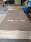 SELL_ Styrax packing plywood from Vietnam